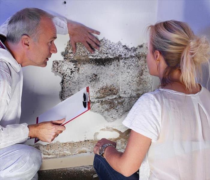 Mold specialist explaining to a blonde lady about mold growth found on a wall